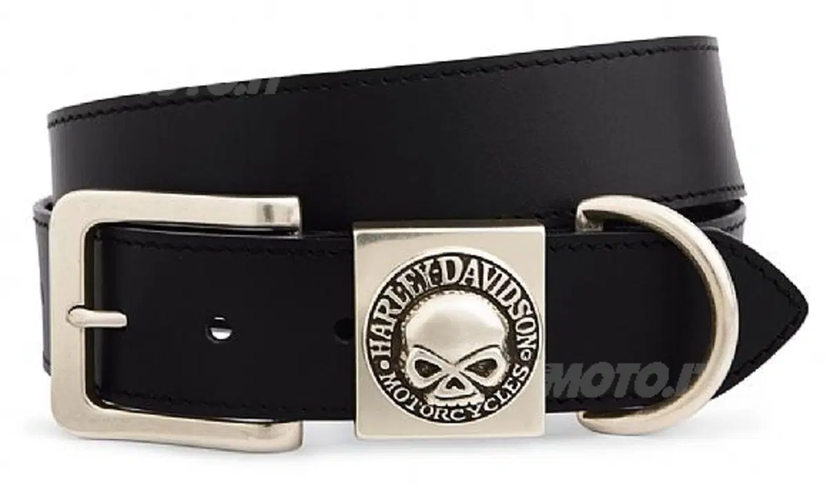 Motorclothes 2009 Logo Skull (4)