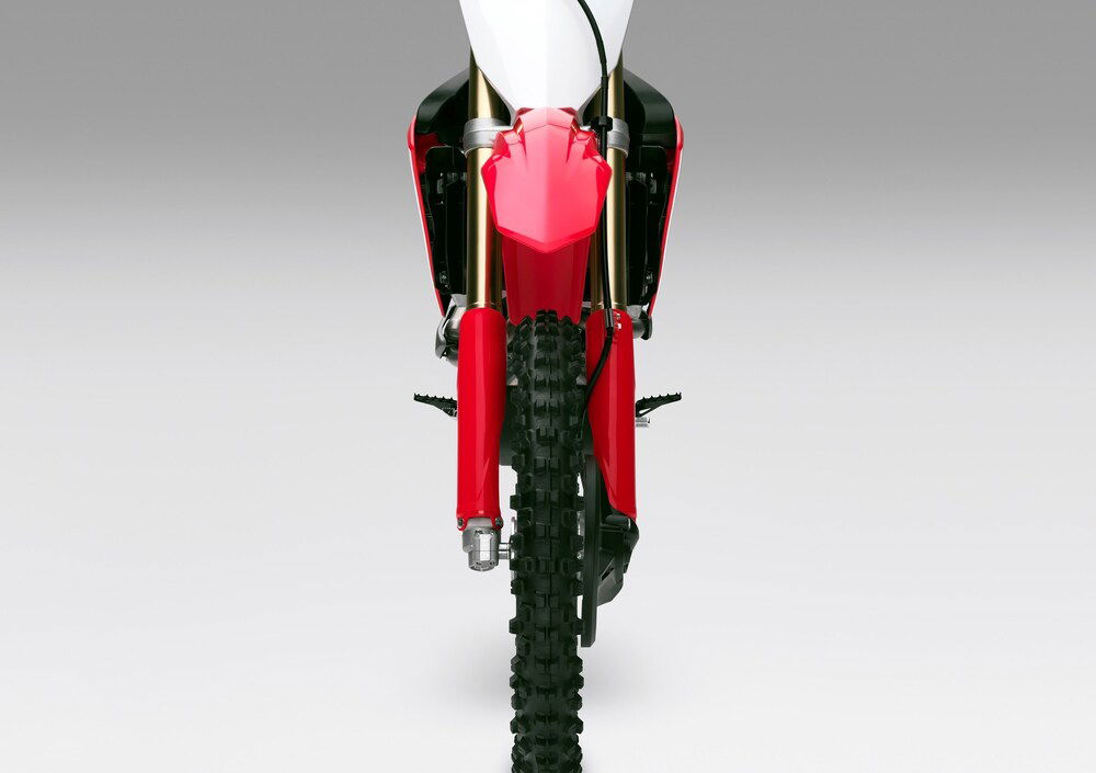 Honda CRF 250 RX (2019) (3)