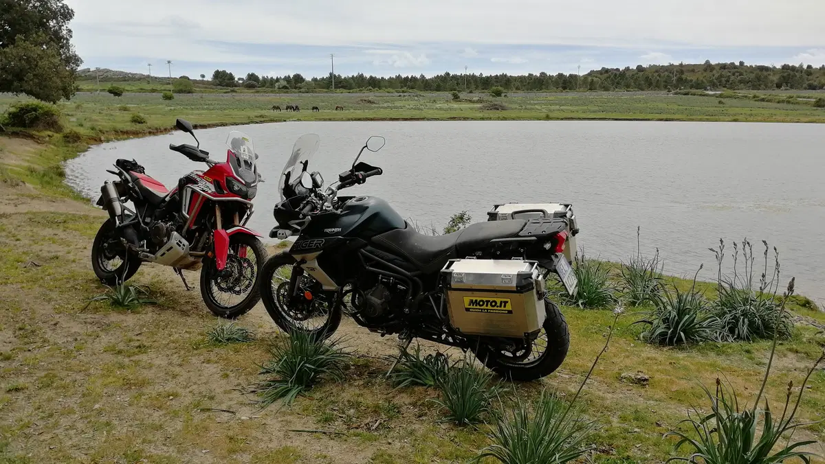 Honda Africa Twin CRF1000L vs Triumph Tiger 800 XCa: la prova On e Off-road (10)
