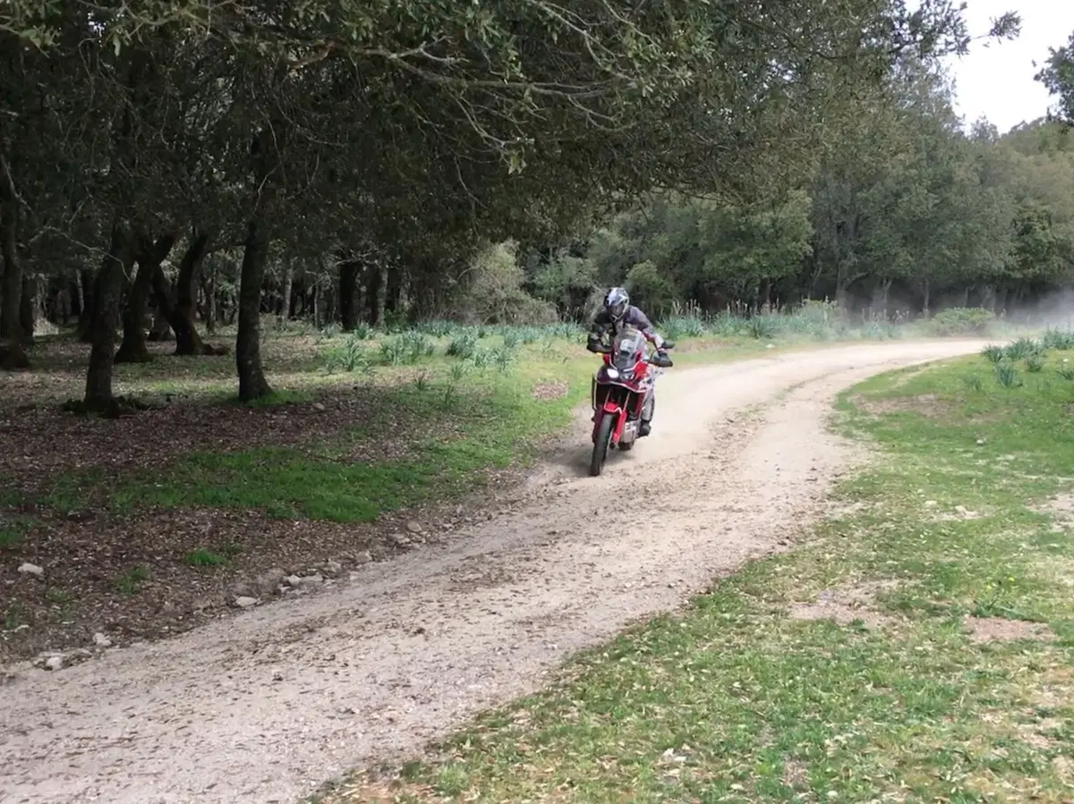 Honda Africa Twin CRF1000L vs Triumph Tiger 800 XCa: la prova On e Off-road (15)