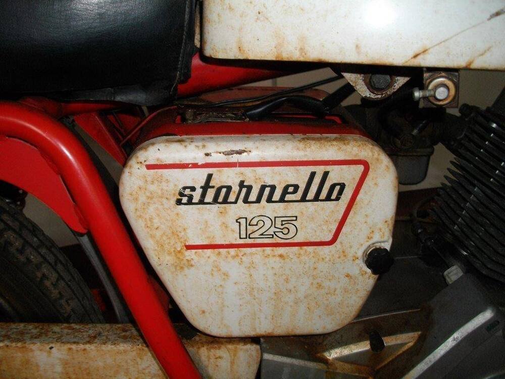 Moto Guzzi Stornello 125 (4)