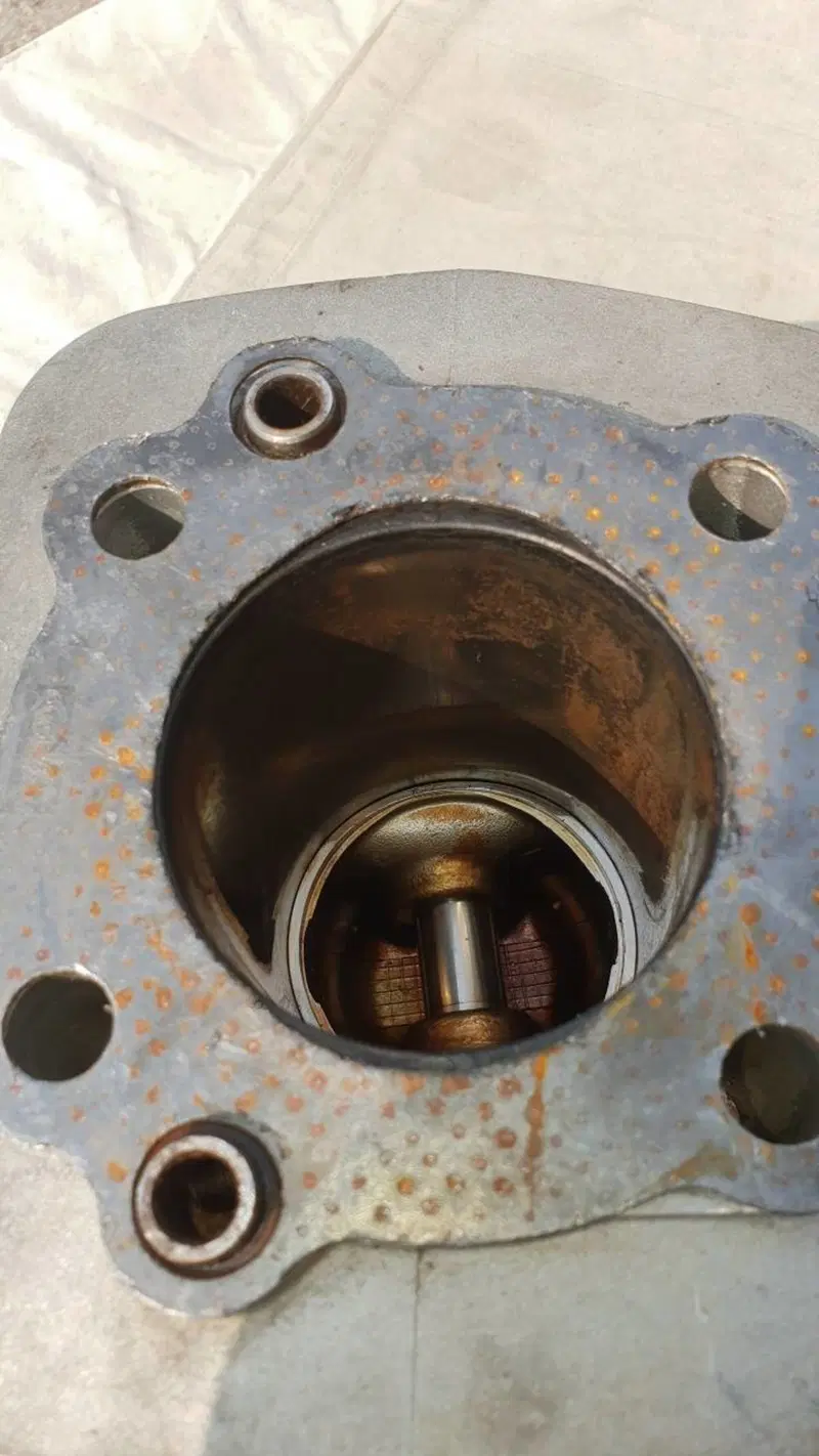Cilindro e pistone Harley-Davidson Sportster 883 (5)
