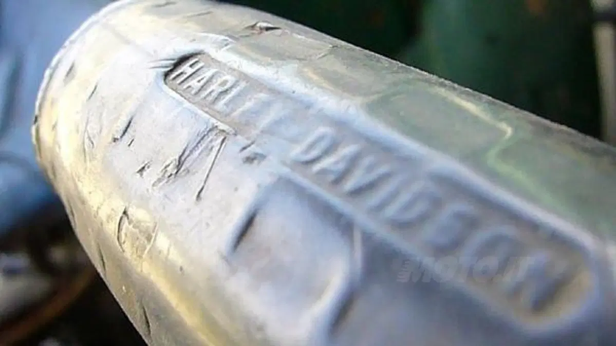 Cuban Harlistas (9)