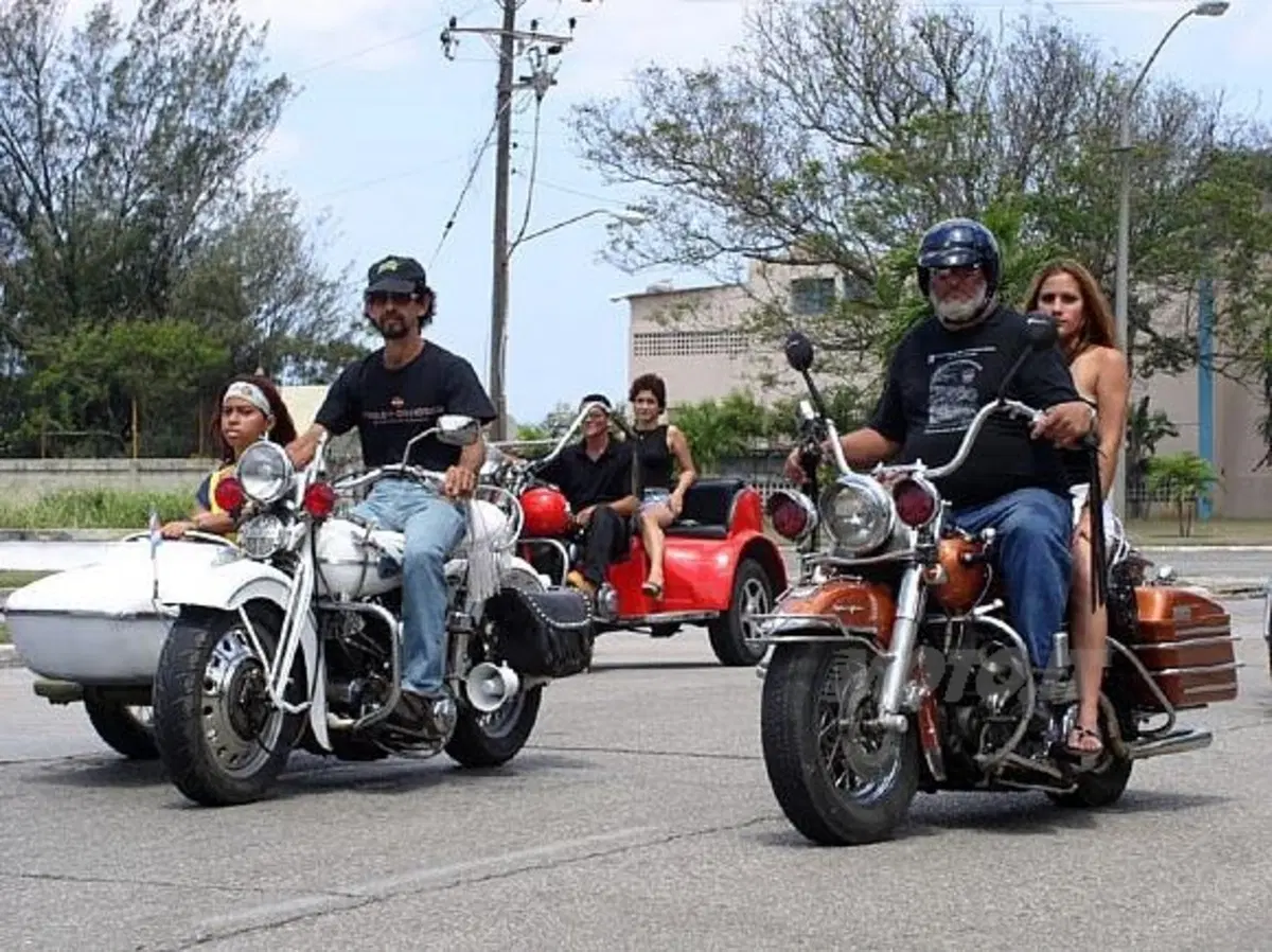 Cuban Harlistas (11)