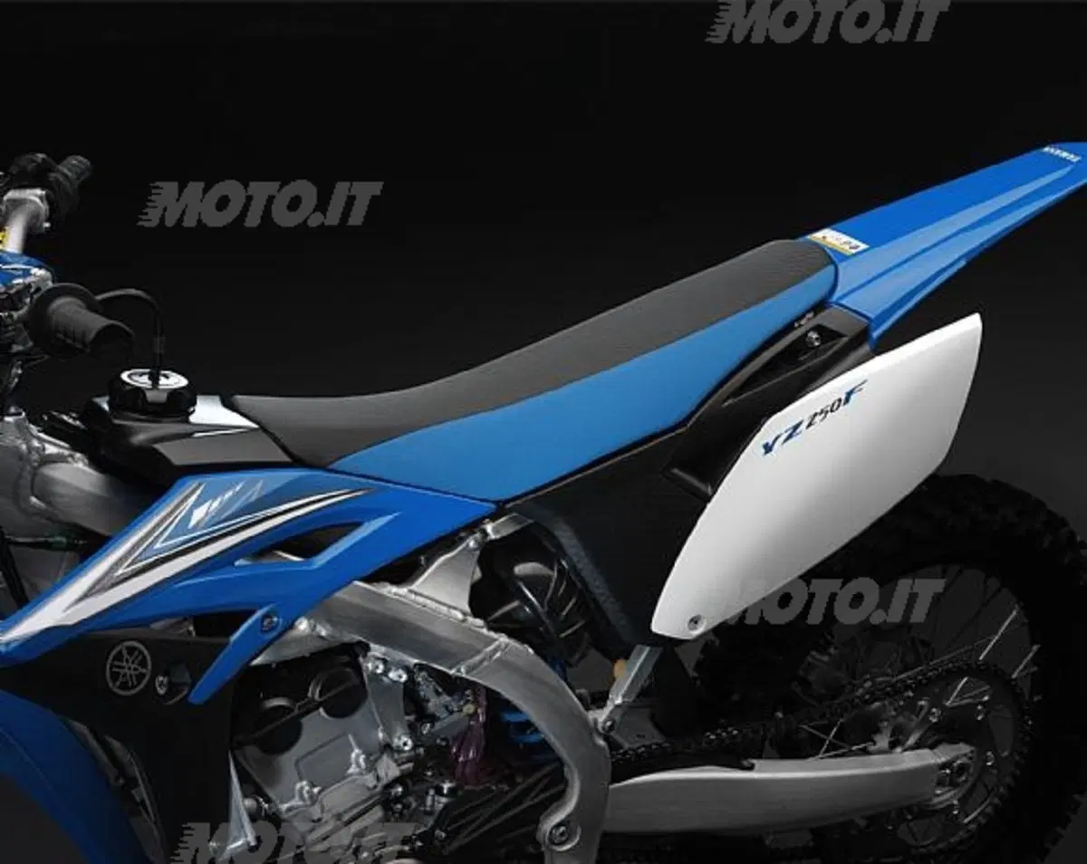YZ250F 2010 (15)