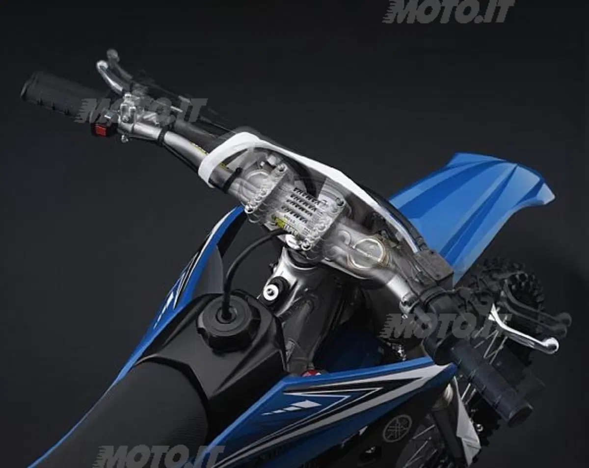 YZ250F 2010 (19)