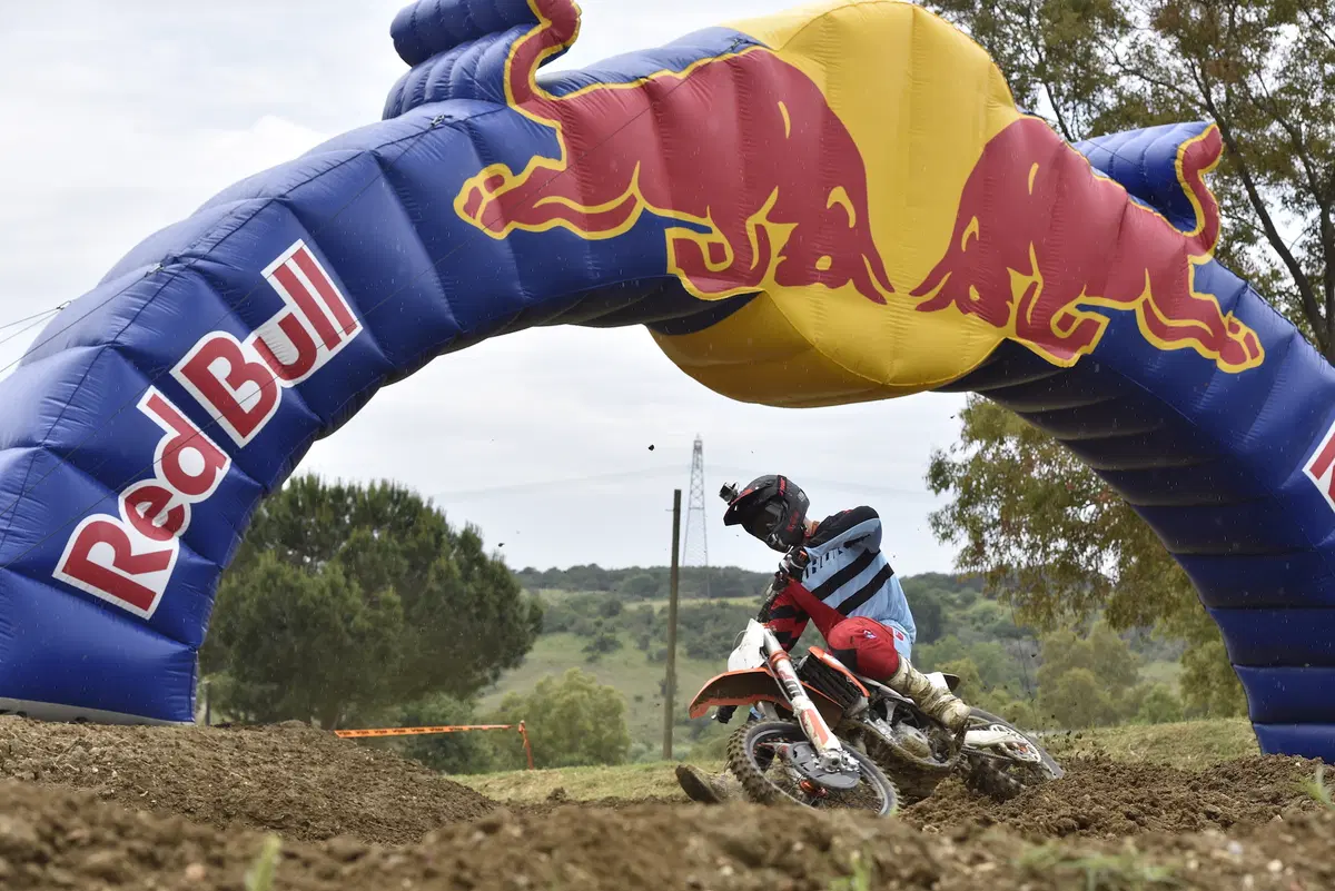 KTM SX e SX-F Cross 2019. Dominatrici incontrastate (2)