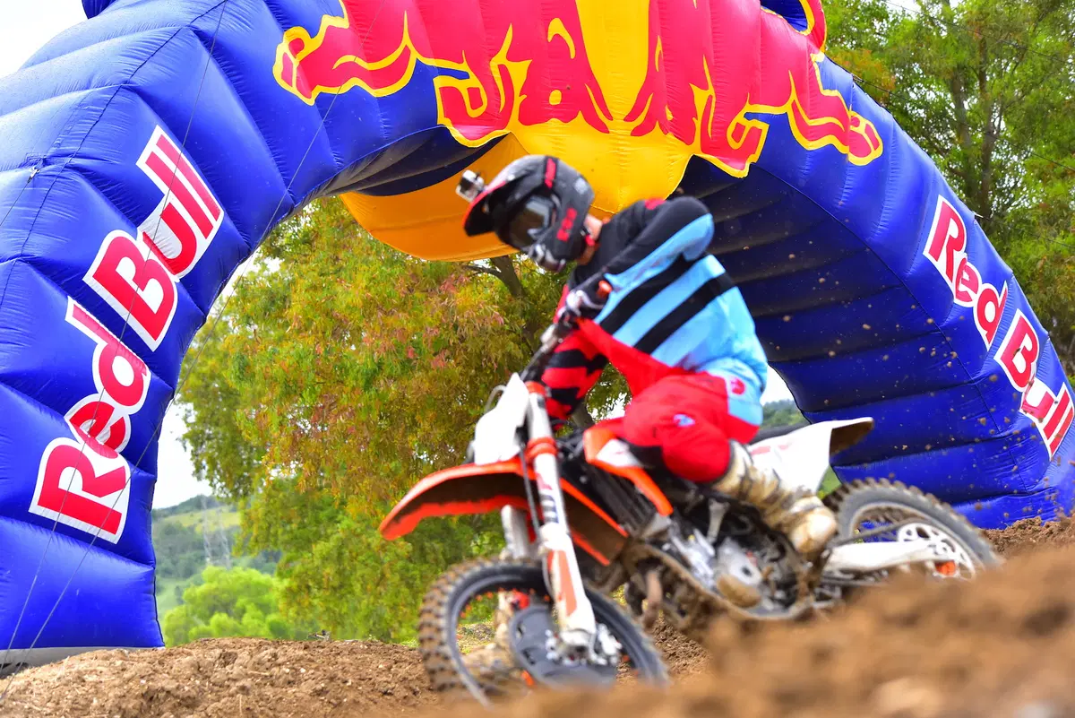 KTM SX e SX-F Cross 2019. Dominatrici incontrastate (5)