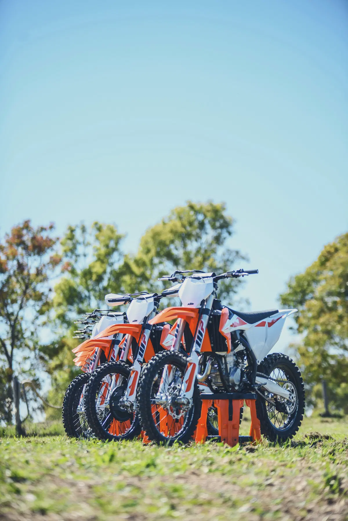 KTM SX e SX-F Cross 2019. Dominatrici incontrastate (18)