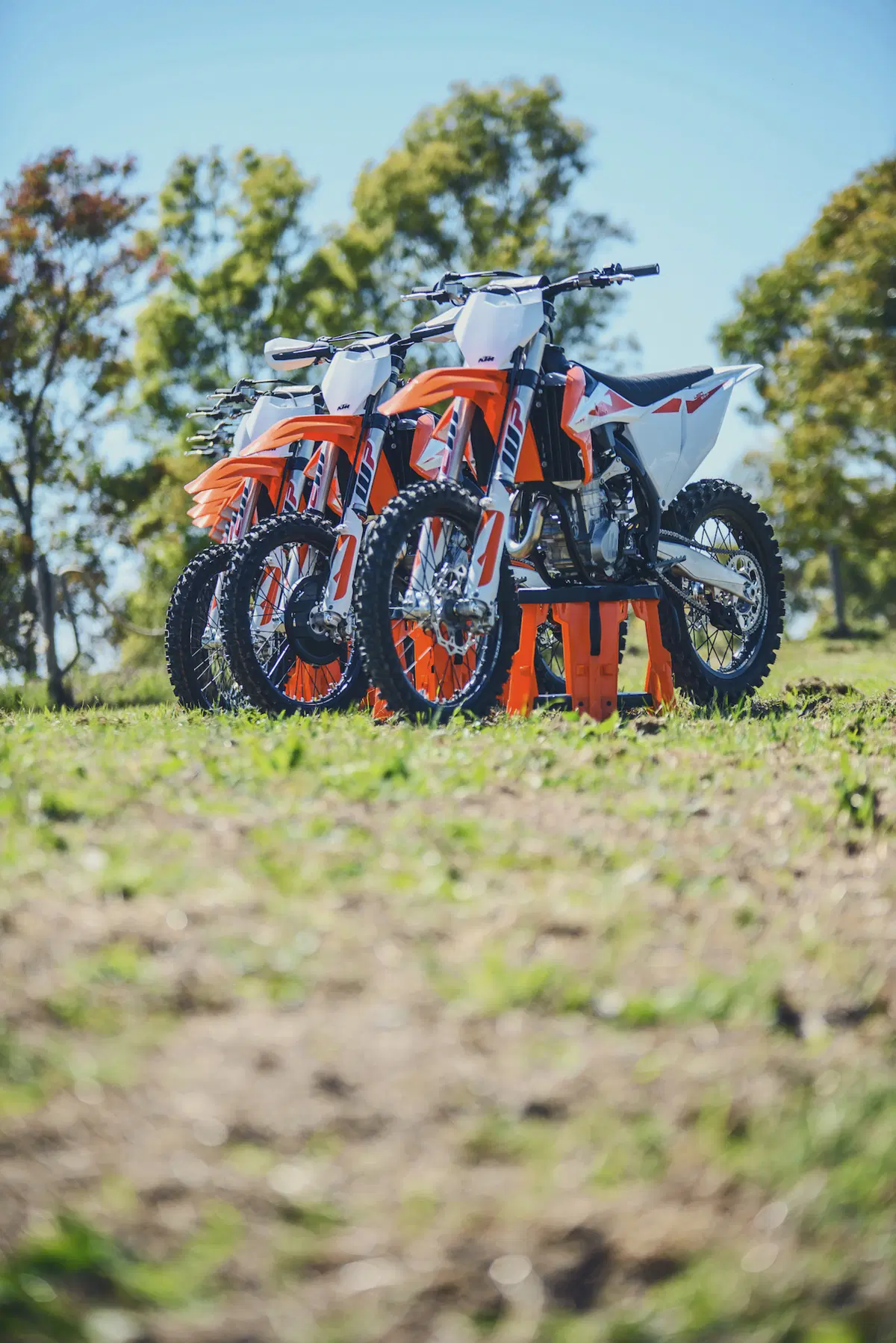 KTM SX e SX-F Cross 2019. Dominatrici incontrastate (19)