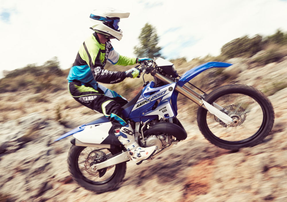 Yamaha WR 250 (2016) (3)