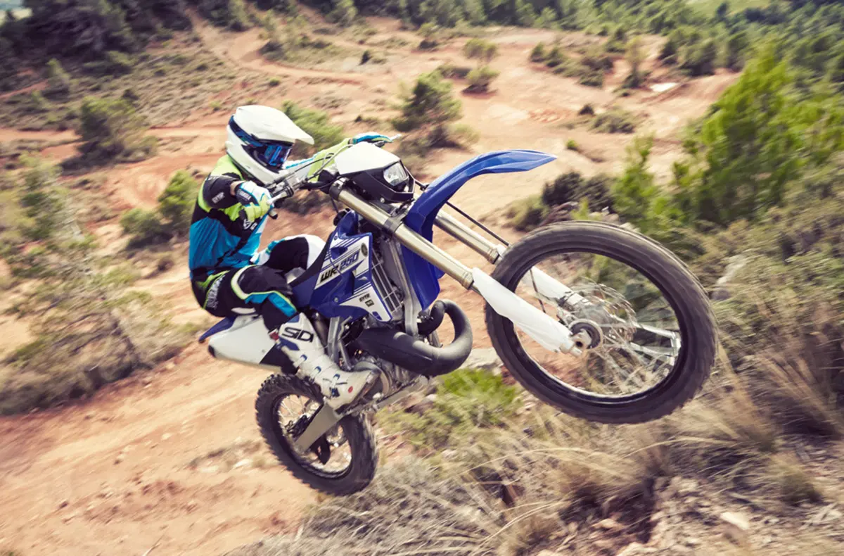 Yamaha WR 250 WR 250 (2016) (5)