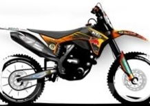 Nel 2011 l'attesa KTM SX-F 350