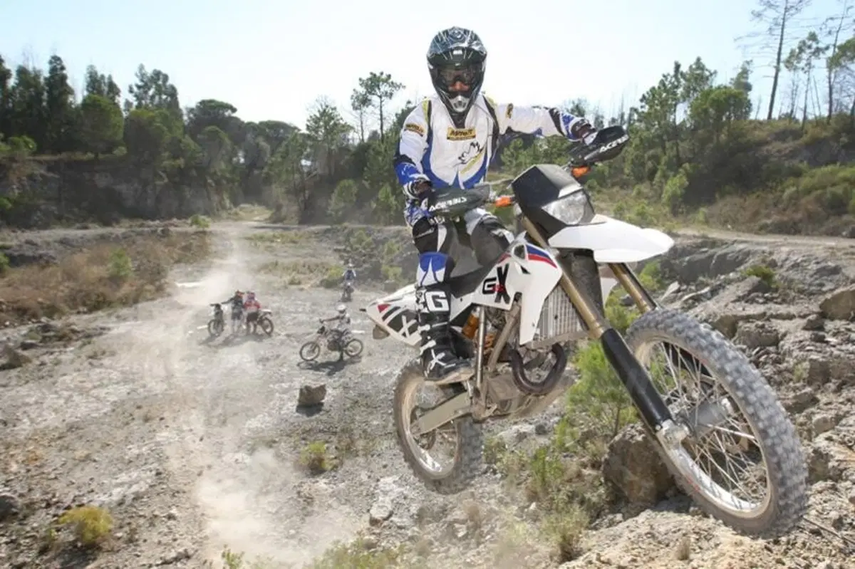 BMW G 450 X (9)