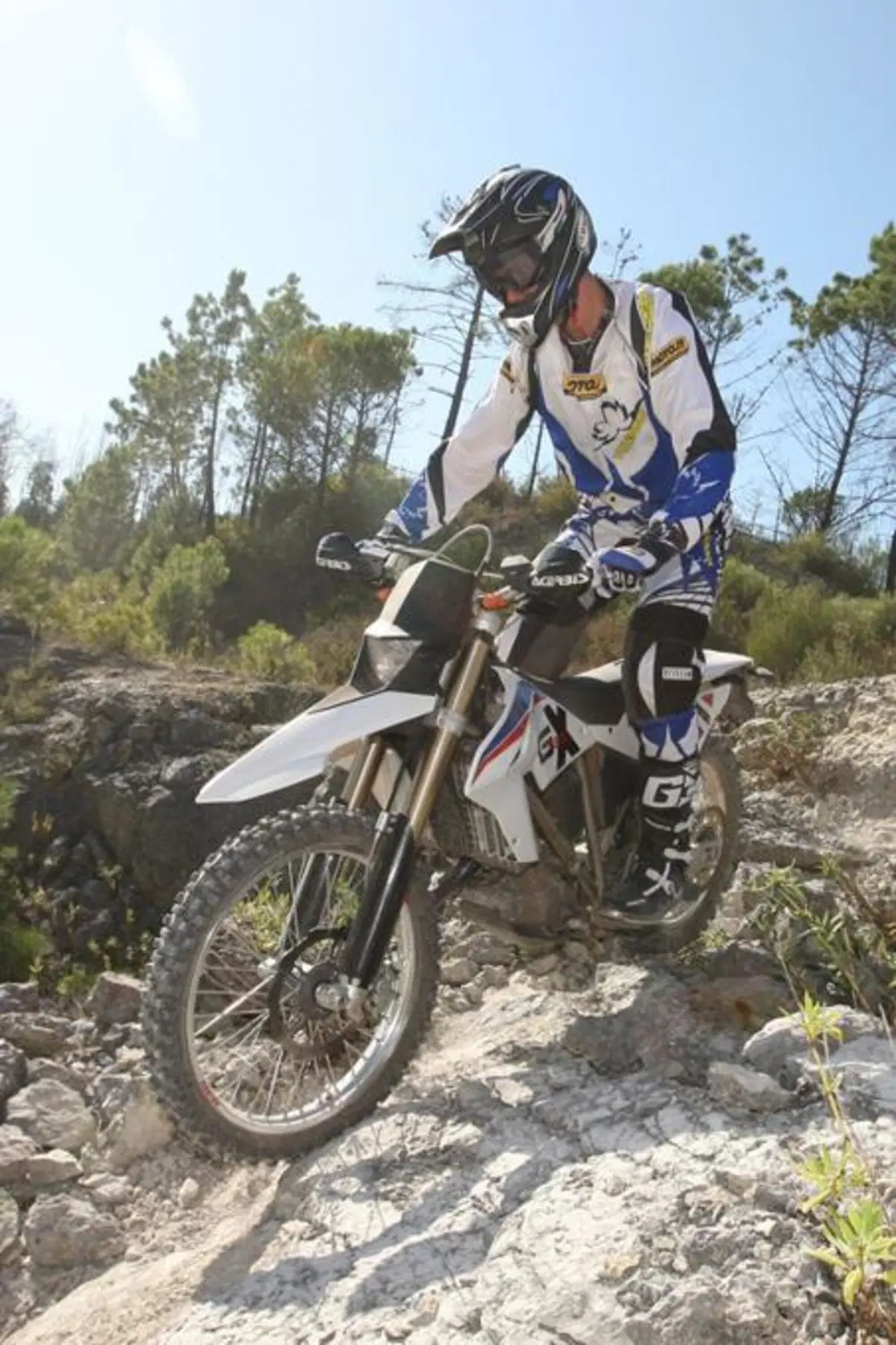 BMW G 450 X (11)