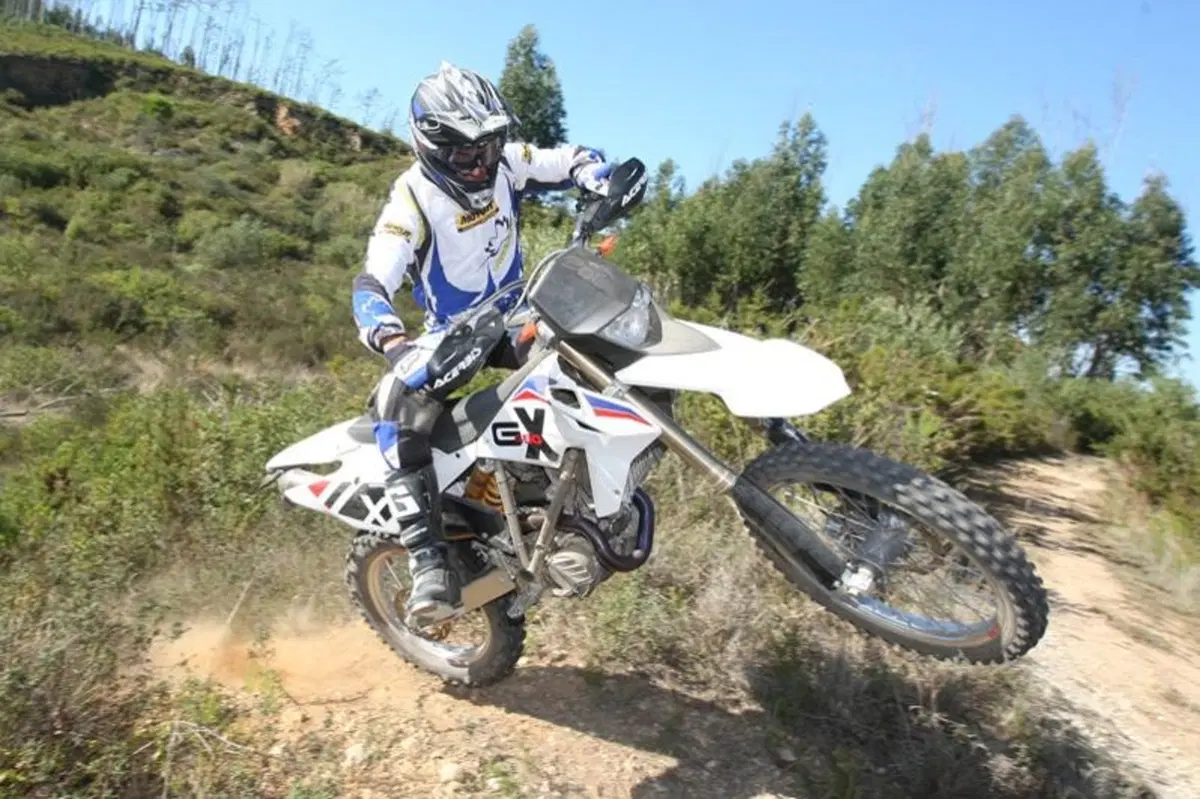 BMW G 450 X (12)