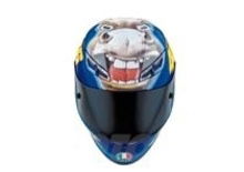 AGV GP-Tech The Donkey