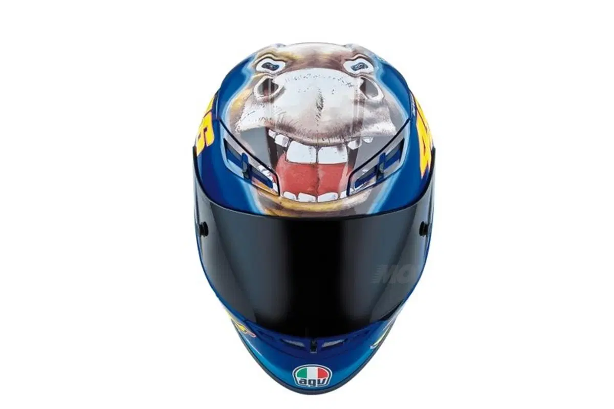 AGV GP-Tech The Donkey