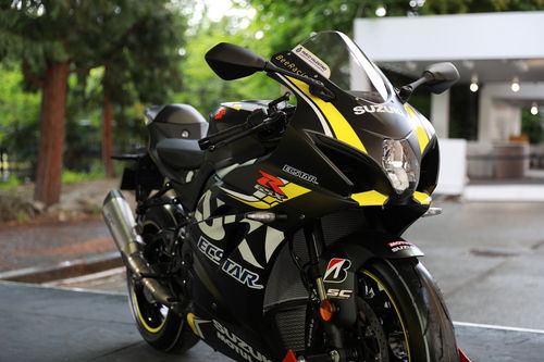 Suzuki GSX-R 1000 BeeRacing. Special replicabile (4)