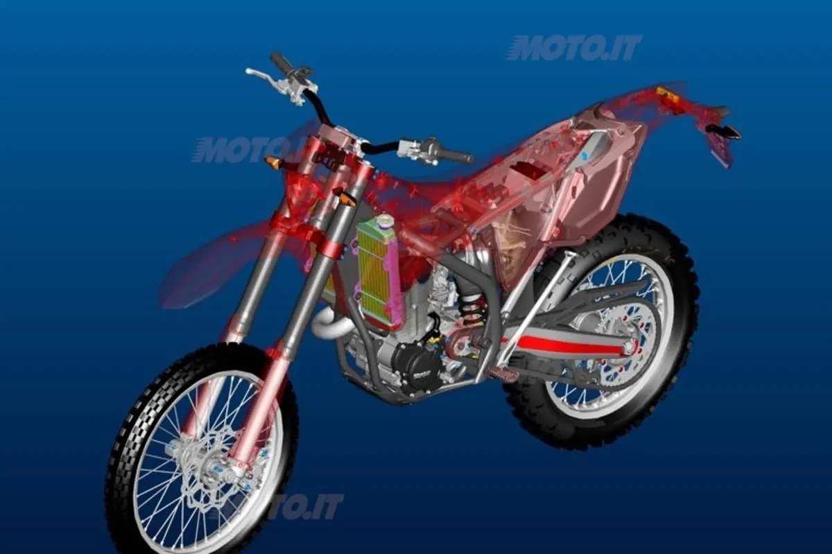 BETA Gamma RR 2010 (14)