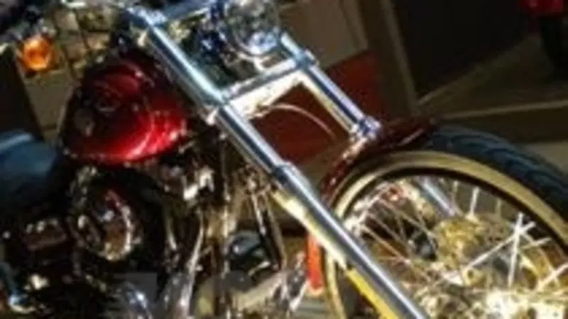 Harley interpreta il 2010 con stile