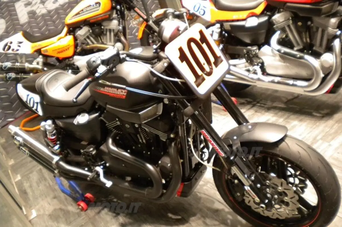 Harley interpreta il 2010 con stile (2)