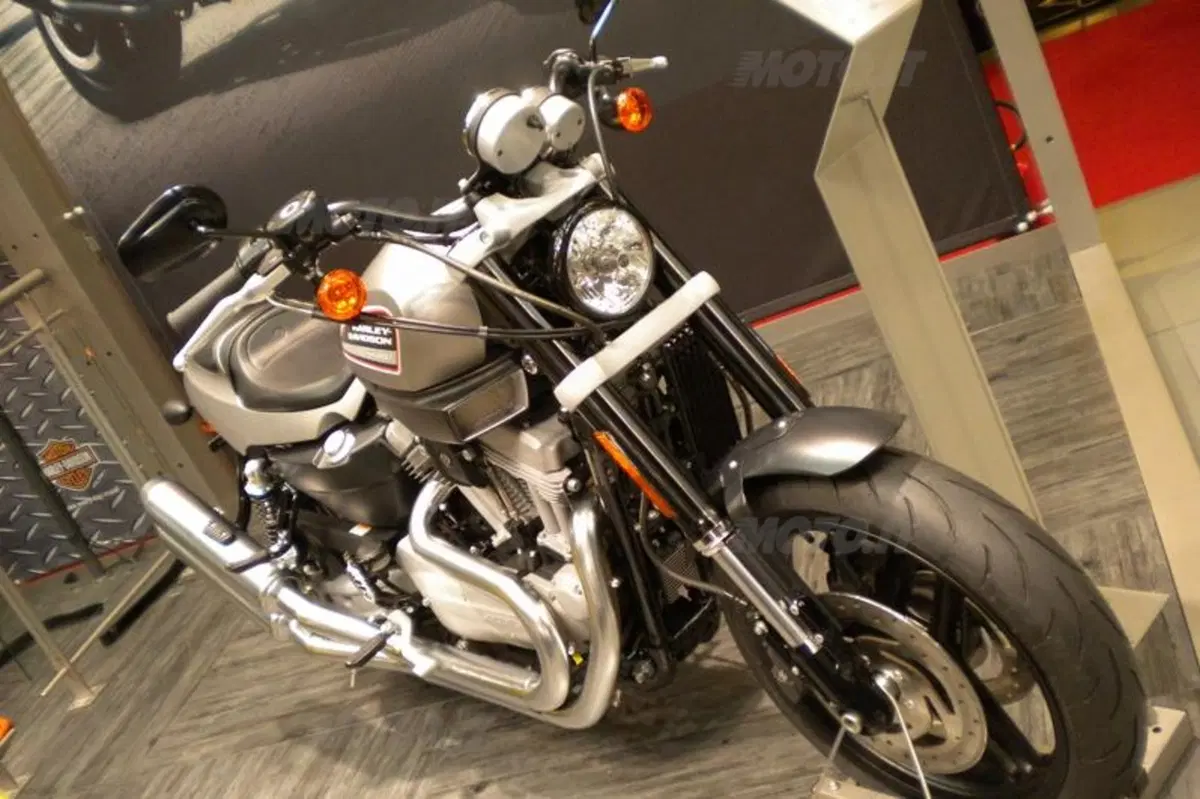 Harley interpreta il 2010 con stile (5)