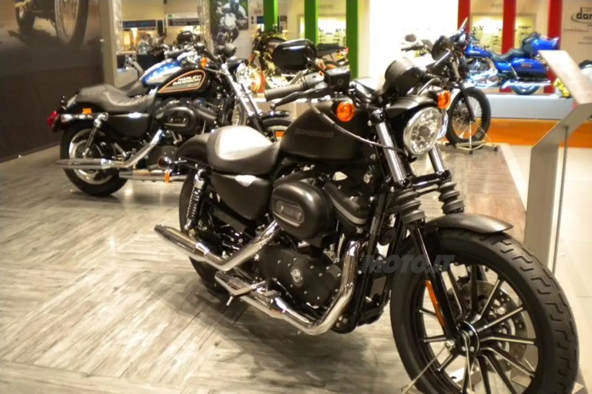 Harley interpreta il 2010 con stile (6)