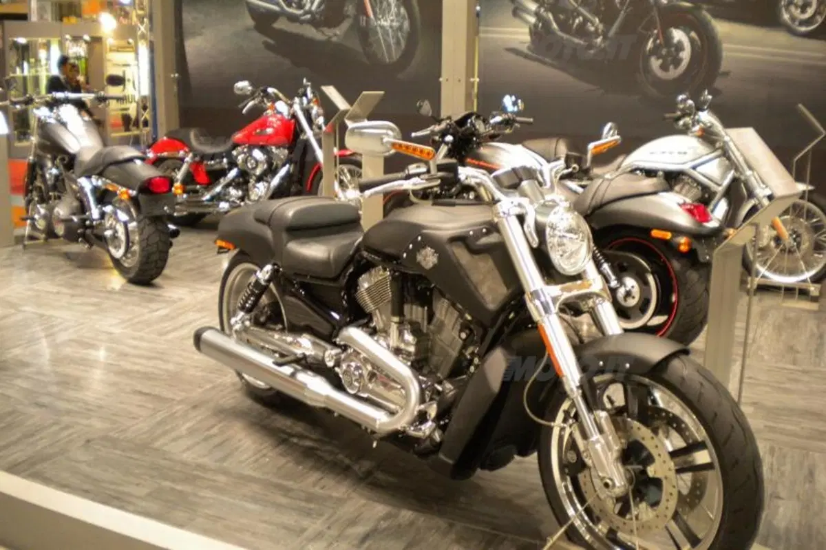 Harley interpreta il 2010 con stile (9)