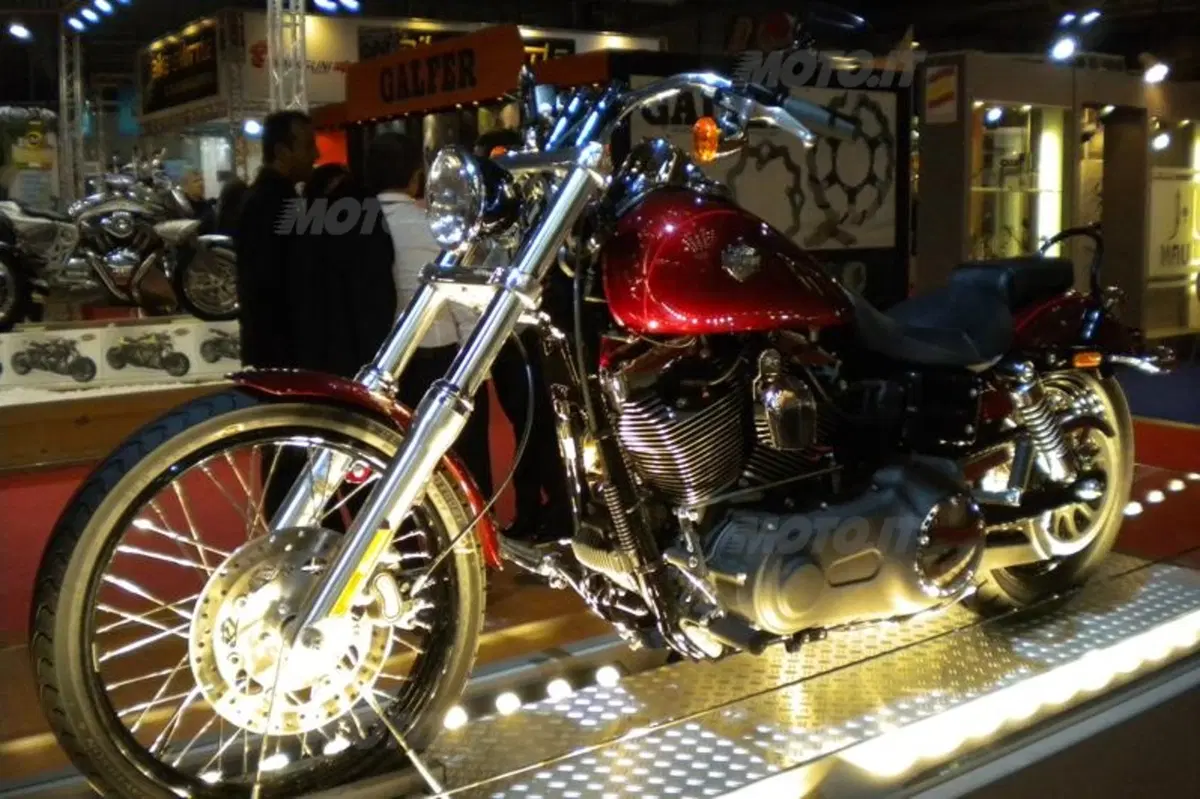Harley interpreta il 2010 con stile (10)