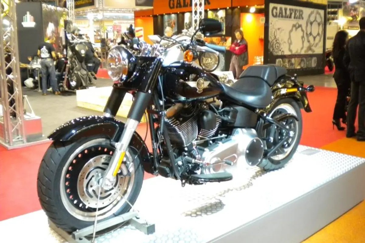Harley interpreta il 2010 con stile (11)
