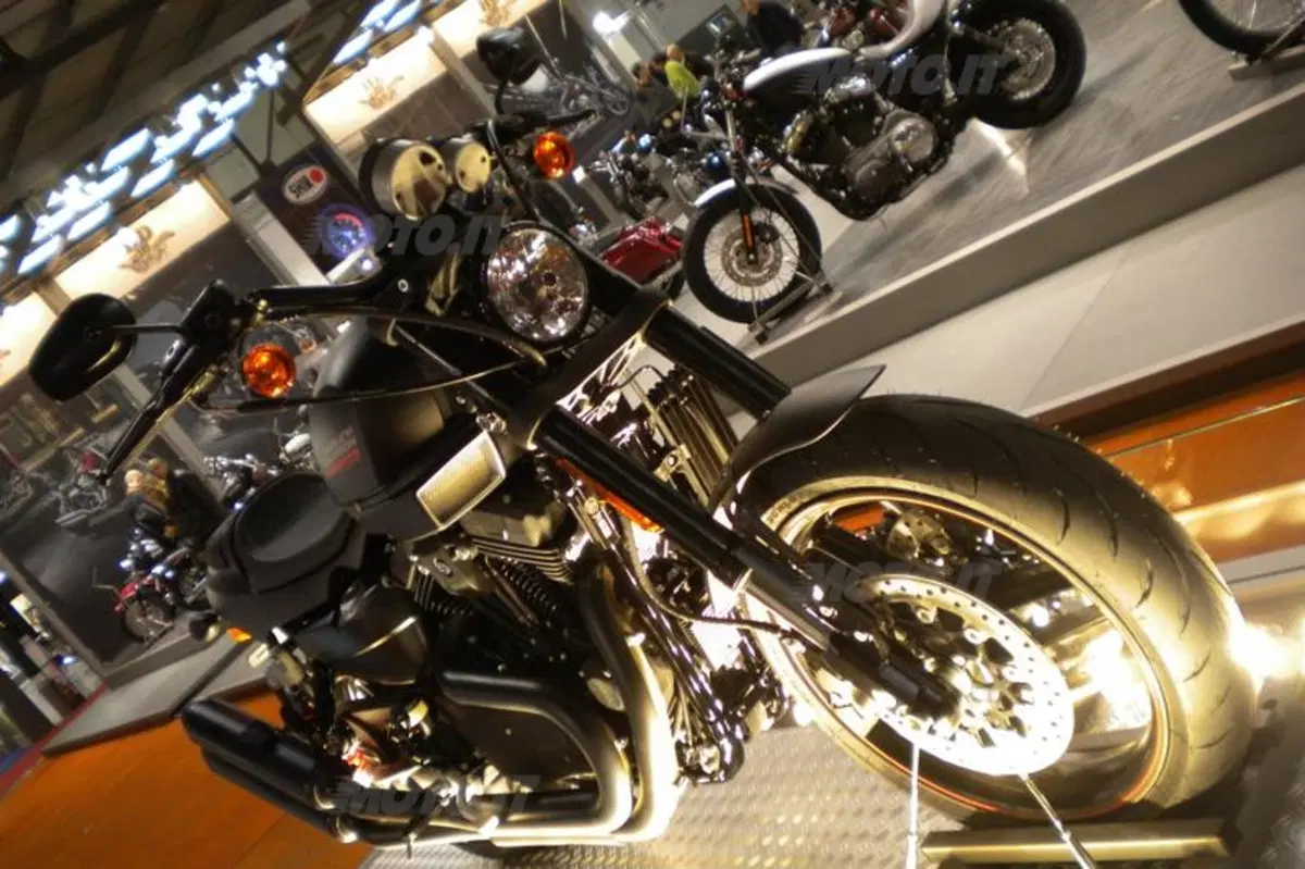 Harley interpreta il 2010 con stile (13)