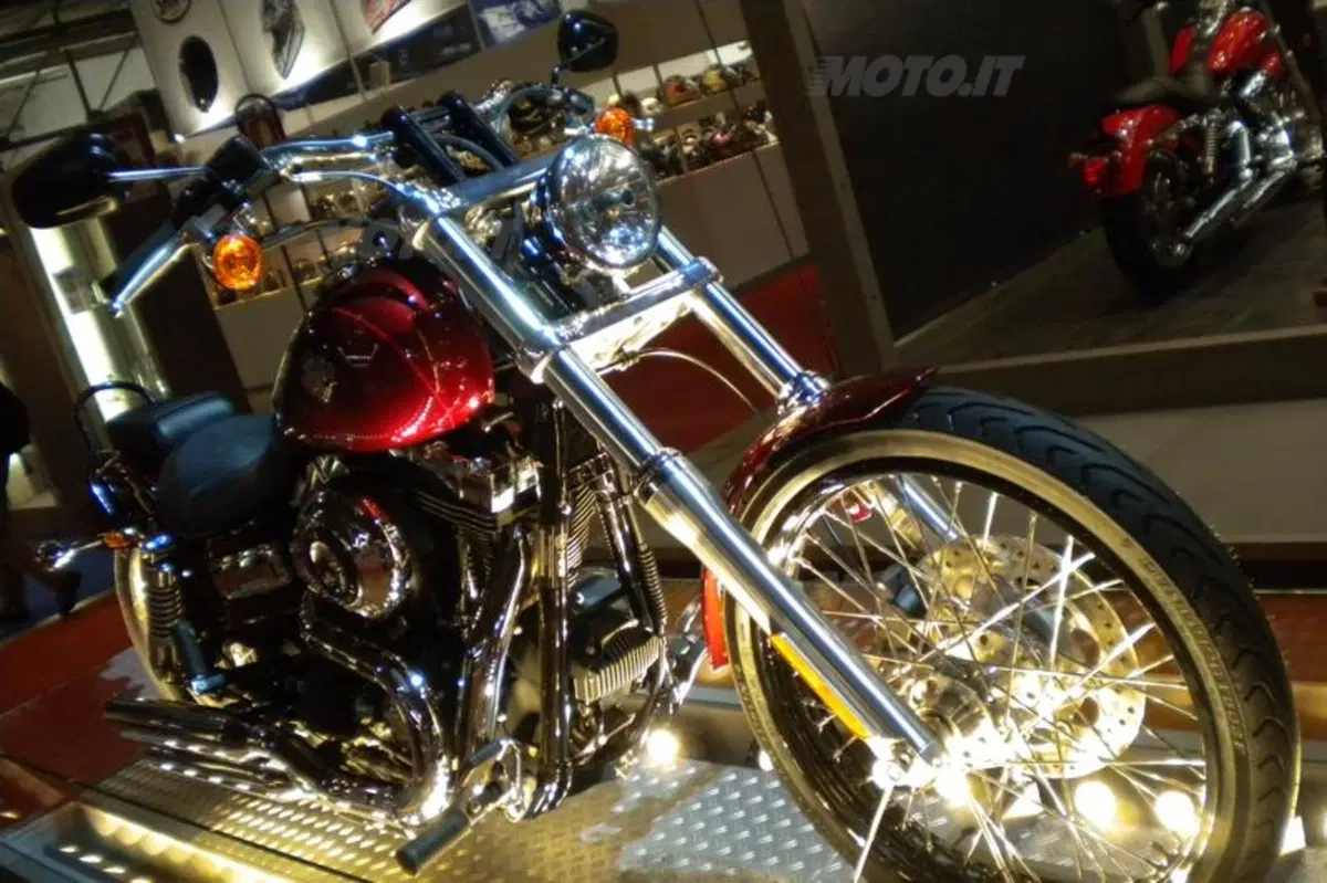 Harley interpreta il 2010 con stile (14)