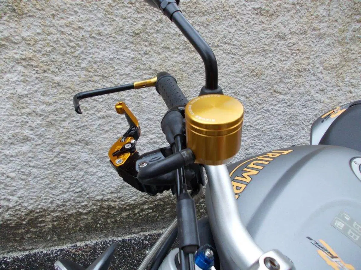 Leve-Paraleve-Serbatoio Triumph VV Rizoma (3)