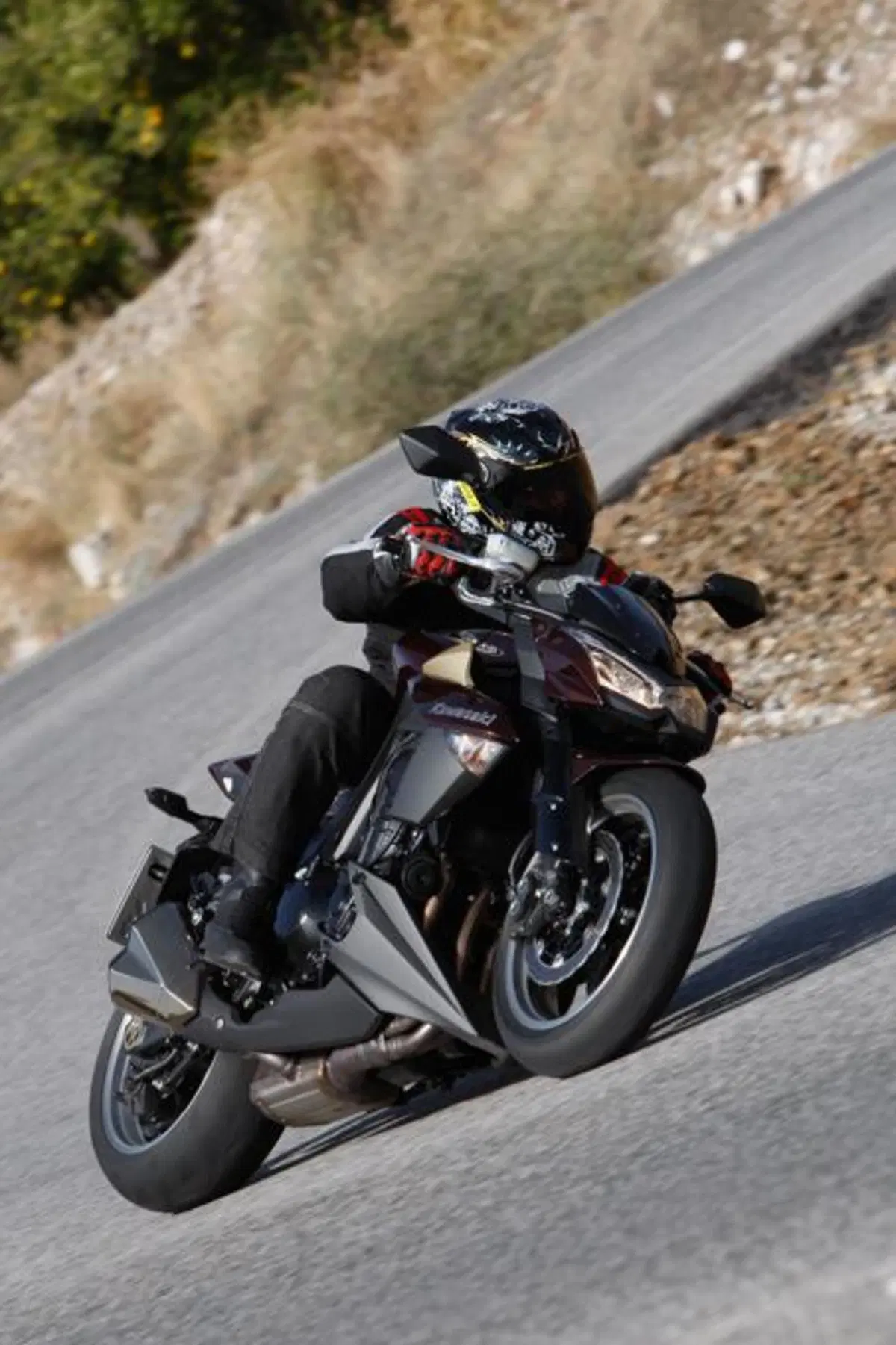 Kawasaki Z 1000  (12)