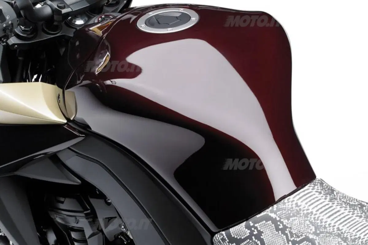 Kawasaki Z 1000  (20)