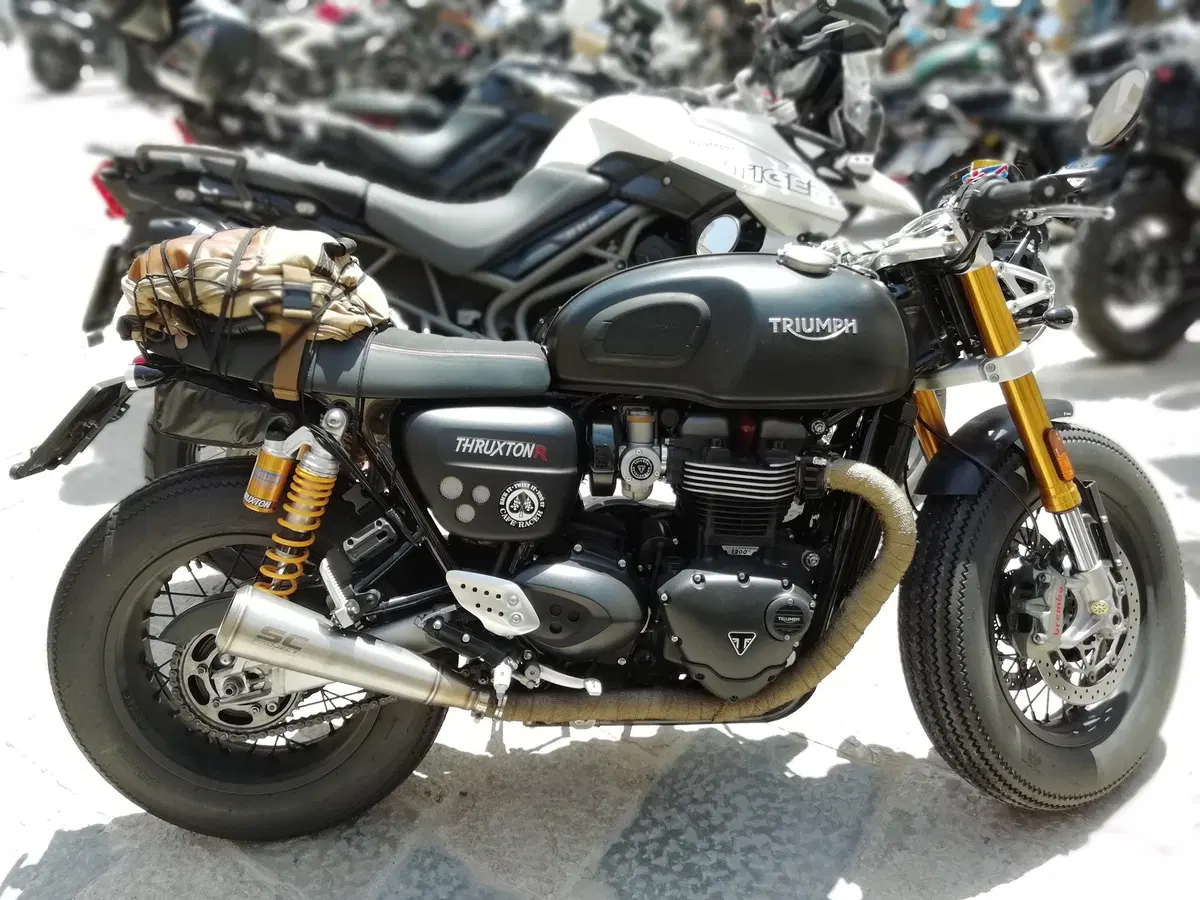 Triumph: Adunanza 2018, c'eravamo anche noi! (21)