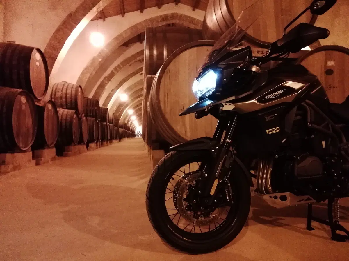Triumph: Adunanza 2018, c'eravamo anche noi! (29)