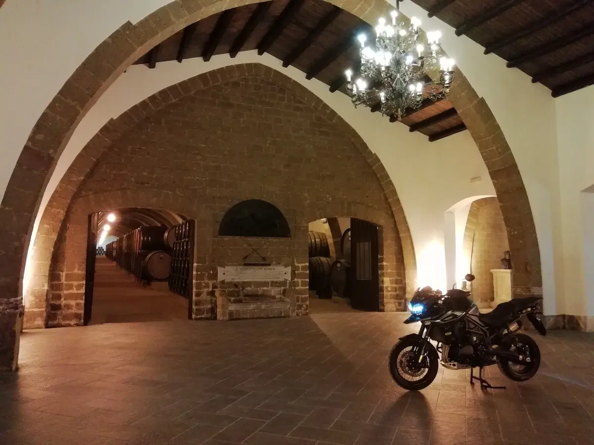 Triumph: Adunanza 2018, c'eravamo anche noi! (31)