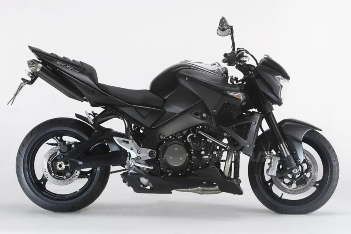 Suzuki B-King Hyaku (3)