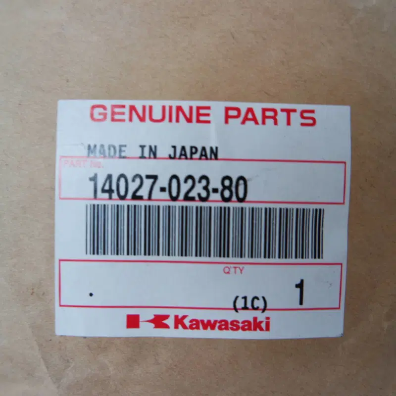 Carter Puntine Z900 Kawasaki (4)