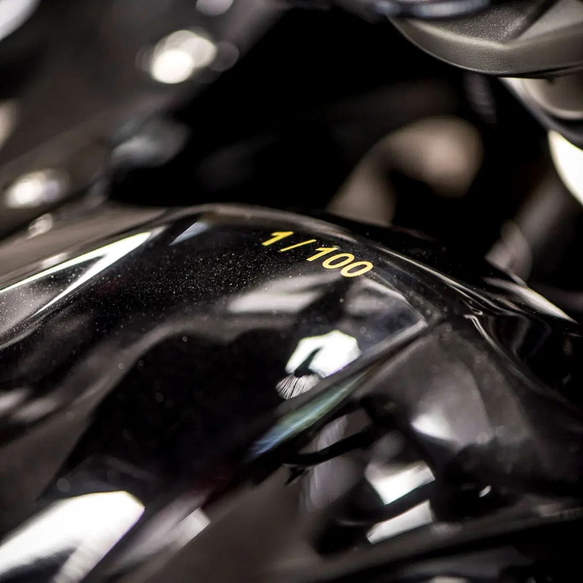 BMW R 1200. Serie speciale Iconic 100 (3)