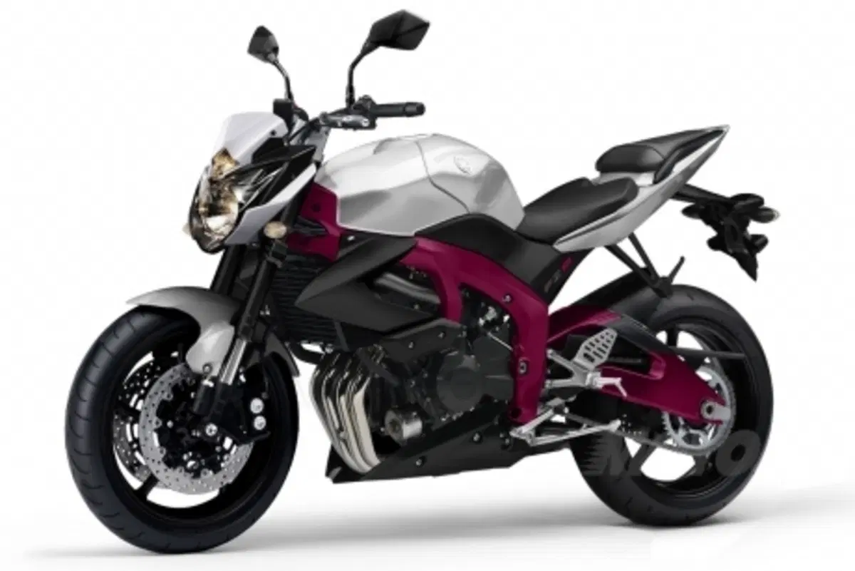Yamaha FZ8 stuzzica i designer web (2)
