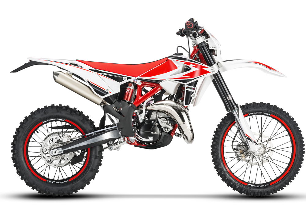 Betamotor RR 125 2T Enduro (2019) (4)