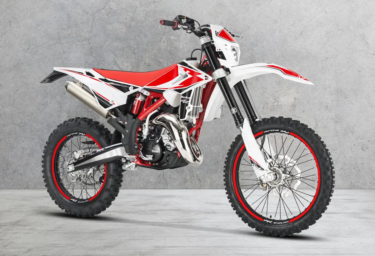 Betamotor RR 125 2T RR 125 2T Enduro (2019) (8)