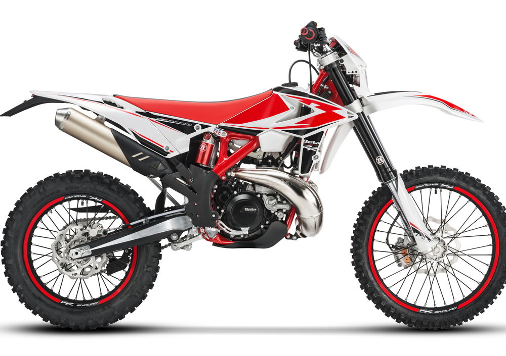 Betamotor RR 250 2T Enduro (2019) (4)