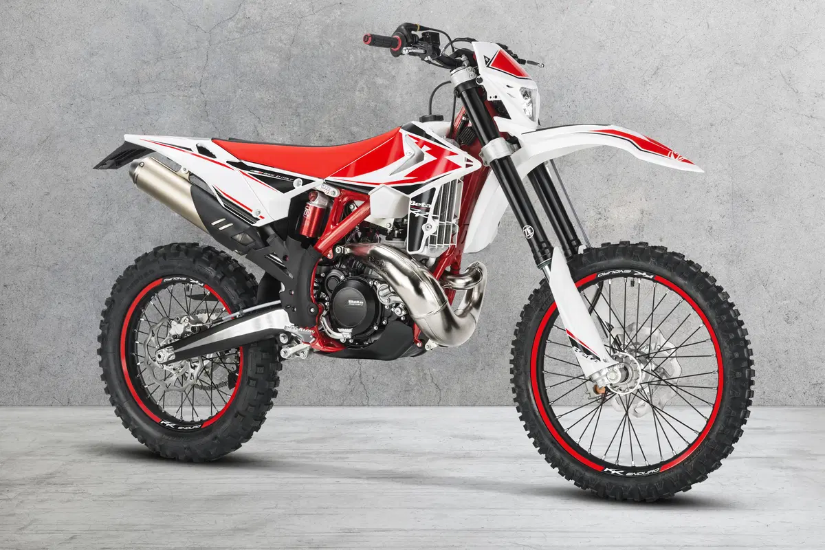 Betamotor RR 250 2T RR 250 2T Enduro (2019) (6)