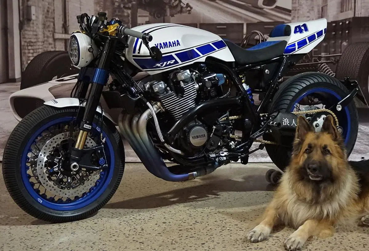 Yamaha XJR 1300 Ronin (2)