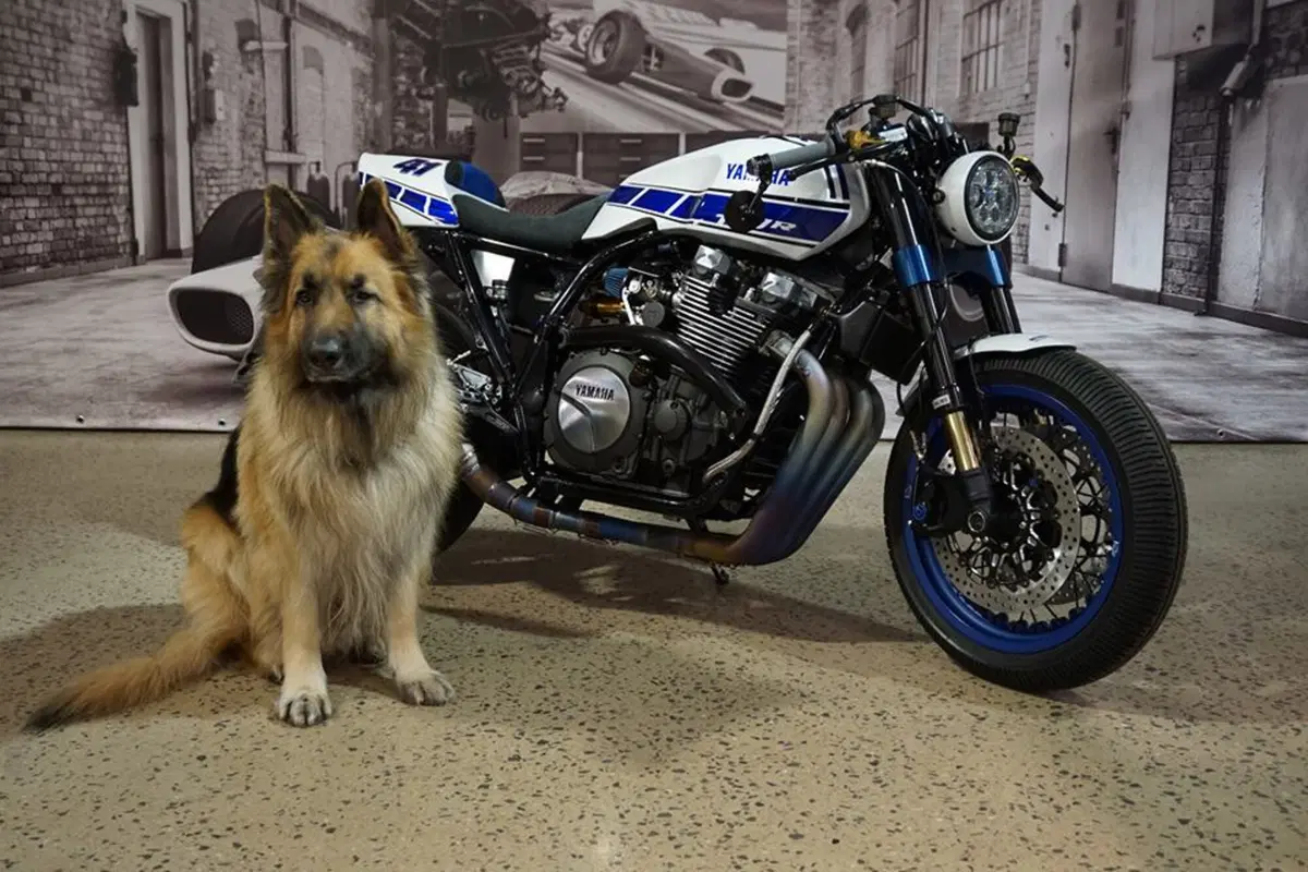 Yamaha XJR 1300 Ronin
