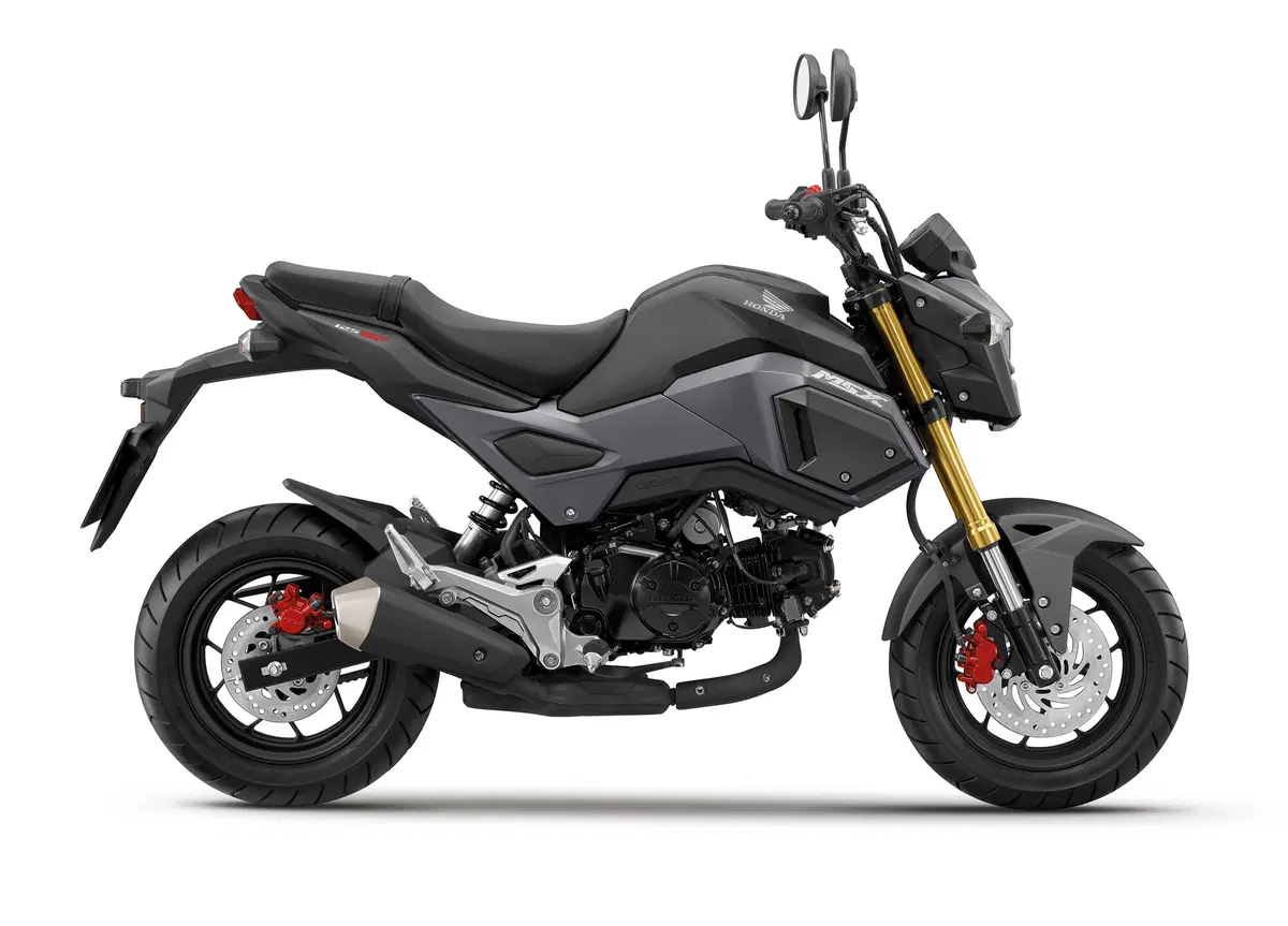 Honda MSX 125 m.y. 2016 (2)